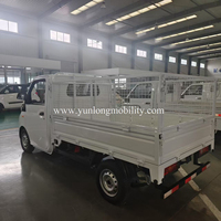 Batterie au lithium 220km de portée maximale Mini camion électrique de cargaison avec charge de déchargement Approbation Eec L7e Voiture électrique de cargaison Rwd à vendre