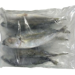 Poisson IQF congelé entier Big Eye Scad Seafood 24 mois Durée de conservation Fournisseur en gros du Vietnam-Emballage en vrac Marque personnalisée 4-6cm - Product Image 3
