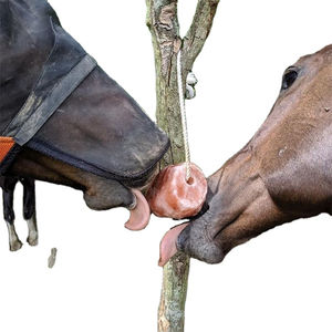 Sal de Roca Natural del Himalaya, Sales de Montaña Secas para Animales, para Ganado, Caballos, Perros, Tamaño Grande, Alimento para Todo Tipo de Animales - Product Image 2