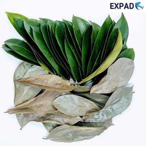 Hojas de Guanábana secas orgánicas naturales Hojas de Guanábana secas 100% Hogar natural - Product Image 2