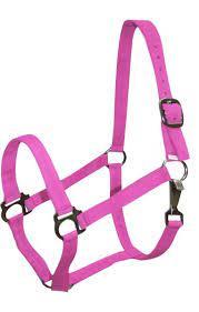 Corde de plomb de cheval tressée en nylon de haute qualité corde de plomb de fixation d'extrémité en cuir à vendre - Product Image 5