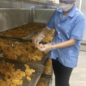 เยลลี่มอสจากทะเลแบบแกมมี่มีมอสไอริชที่มีคุณภาพสูงผ่านกระบวนการอบแห้งของเวียดนามลดราคาครั้งใหญ่! - Product Image 3