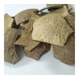 Cáscara cruda de coco natural al por mayor para detalles de muebles, jardineras orgánicas, producción de carbón vegetal y usos artesanales creativos - Product Image 6