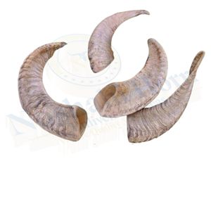 Corne de Noshahi Aliven's Produit d'outre-mer religieux de style animal en corne de bélier naturelle polie - Product Image 2