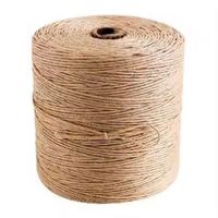 Fils de jute filés 100 % écologiques, antibactériens, recyclables, de haute qualité, robustes, grande taille, sur cônes, faits sur mesure pour le tricot et la couture à la main