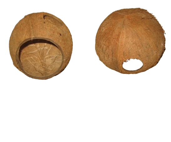 ธรรมชาติ