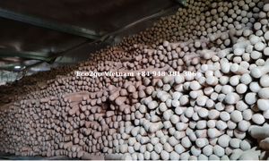 Fournitures pour animaux de compagnie et pas cher prix café bois mâcher chien café bois chien mâcher/café bois chien mâcher du Vietnam avec un prix compétitif - Product Image 3