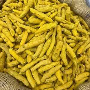 Racine de curcuma crue séchée au soleil, qualité biologique supérieure, bâtonnets entiers de haldi, épices indiennes, herbes, acheteur en gros, OEM direct - Product Image 1