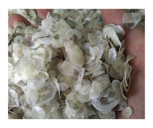 ÉCHELLES DE POISSON CRUTES SÉCHÉES À BAS PRIX D'EXPORTATION DE HAUTE QUALITÉ/ÉCHELLES DE POISSON D'OSSEIN SÉCHÉES AU SOLEIL NATURELLES pour COLLAGÈNE et GÉLATINE À PARTIR DE 99 OR - Product Image 5