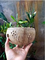 Pot Bunga dari Tempurung Kelapa Buatan Tangan yang Berkelanjutan Ramah Lingkungan Biodegradable Tahan Lama Desain Gantung Lapisan Epoksi Gaya Klasik Farmhouse
