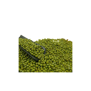 Frijoles orgánicos verdes para la salud intestinal ricos en fibra prebiótica - Product Image 6