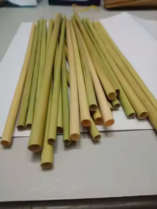 หญ้าที่เป็นมิตรต่อสิ่งแวดล้อมและหลอดไม้ไผ่จากเวียดนามที่กำลังมาแรง - Product Image 5