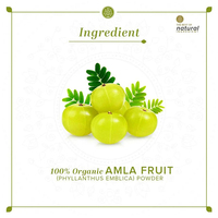 Khadi Poudre de Fruit Amla Biologique Naturel-100% Naturel-100g