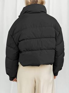 ¡Novedad de 2025! Chaqueta acolchada para mujer, ropa de invierno, abrigos, colores personalizados, tamaño y logotipo, chaqueta acolchada para mujer, cuello levantado - Product Image 2