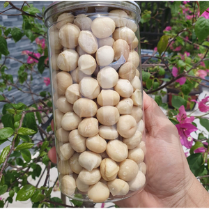 Wholesale Vietnam <b>Macadamia</b> <b>Nuts</b> | Fresh Crop High Quality - Product Image 2