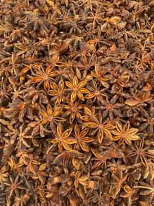 Vente en gros d'épices d'anis étoilés séchés pour printemps et automne graines d'anis étoilé en forme de fleur pour assaisonnements - Product Image 5