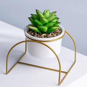 Manufacture White Dolomite Plant Pot With Metal Stand and <b>Succulent</b> Plants for Flower Pots - Product Image 1