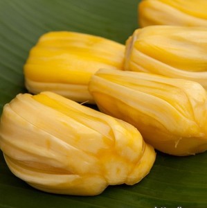 ขนุนแช่แข็งจากเวียดนาม/ ราคาขนุน คุณโซฟี - Product Image 3