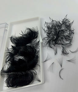 Fournisseur professionnel en gros d'extensions de cils pré-faites, éventails étroits, faites à la main, naturelles, longues, courbure C/CC/D/DD/M/L, pour artistes en cils - Product Image 4