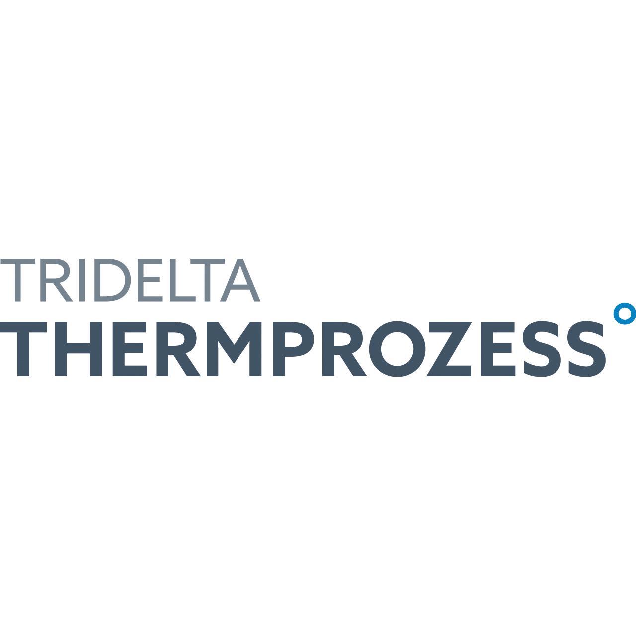 Tridelta Thermprozess GmbH logo