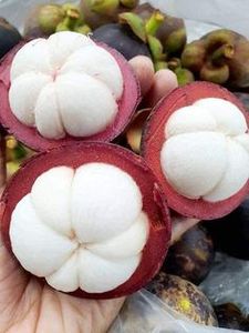 100% Dried Mangosteen From Fresh Mangosteen Organic Fruit Origin From Vietnam - Product Image 4
