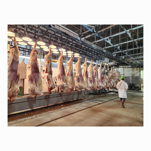 Top Grade Beef Carcass Wholesale Stock With Reliable Supply - Product Image 3