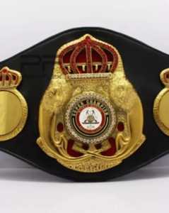 Cinturones de campeonato personalizados Trofeos Medallas y premios El símbolo definitivo de Victoria y excelencia Cinturones de Campeonato - Product Image 1
