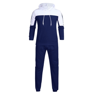 Survêtement de sport décontracté de conception professionnelle hommes saison d'hiver Logo personnalisé jogging 100% survêtement à capuche en coton - Product Image 2