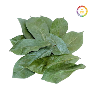 Feuilles de corossol séchées de haute qualité, vente en gros au Vietnam - Product Image 5