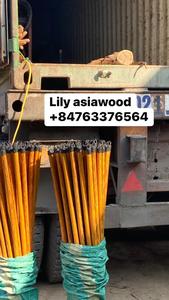 Escoba de madera recta recubierta de PVC de eucalipto para limpieza del hogar vietnamita, cabeza de alambre de plástico, diseño de madera de grano hecho en Vietnam - Product Image 5