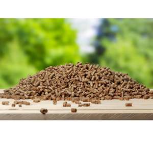 Briquettes de sciure de charbon de bois de biomasse à haute énergie durable fabriquées par extrudeuse, idéales pour un usage industriel et l'exportation mondiale - Product Image 3