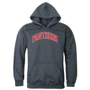 Sudadera con capucha de invierno con forro bordado de panteras, sudadera de espíritu escolar con estampado de pecho audaz, ropa universitaria personalizada, algodón Unisex - Product Image 1