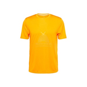 Ropa de gimnasio Camiseta deportiva para hombre Camiseta de gimnasio Logotipo personalizado Venta al por mayor Poliéster Algodón Entrenamiento deportivo Correr Fitness Camiseta Ringer - Product Image 5