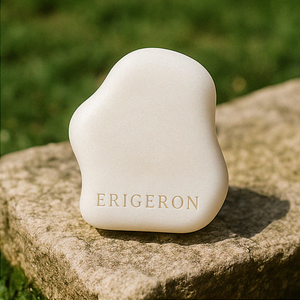 ผลิตภัณฑ์บำรุงผม Philofig Hair Treatment Bar ERIGERON ของเกาหลี พร้อมส่งออก สินค้าขายดี - Product Image 1