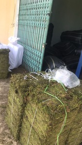 มอสพืชแห้งมอส sphagnum สำหรับห่อรากควบคุมความชื้นในบรรจุภัณฑ์ต้นไม้ - Product Image 2