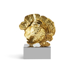 Sculpture d'inspiration naturelle en métal noir audacieux Ornement de table contemporain Accent artistique créatif pour les maisons élégantes - Product Image 6