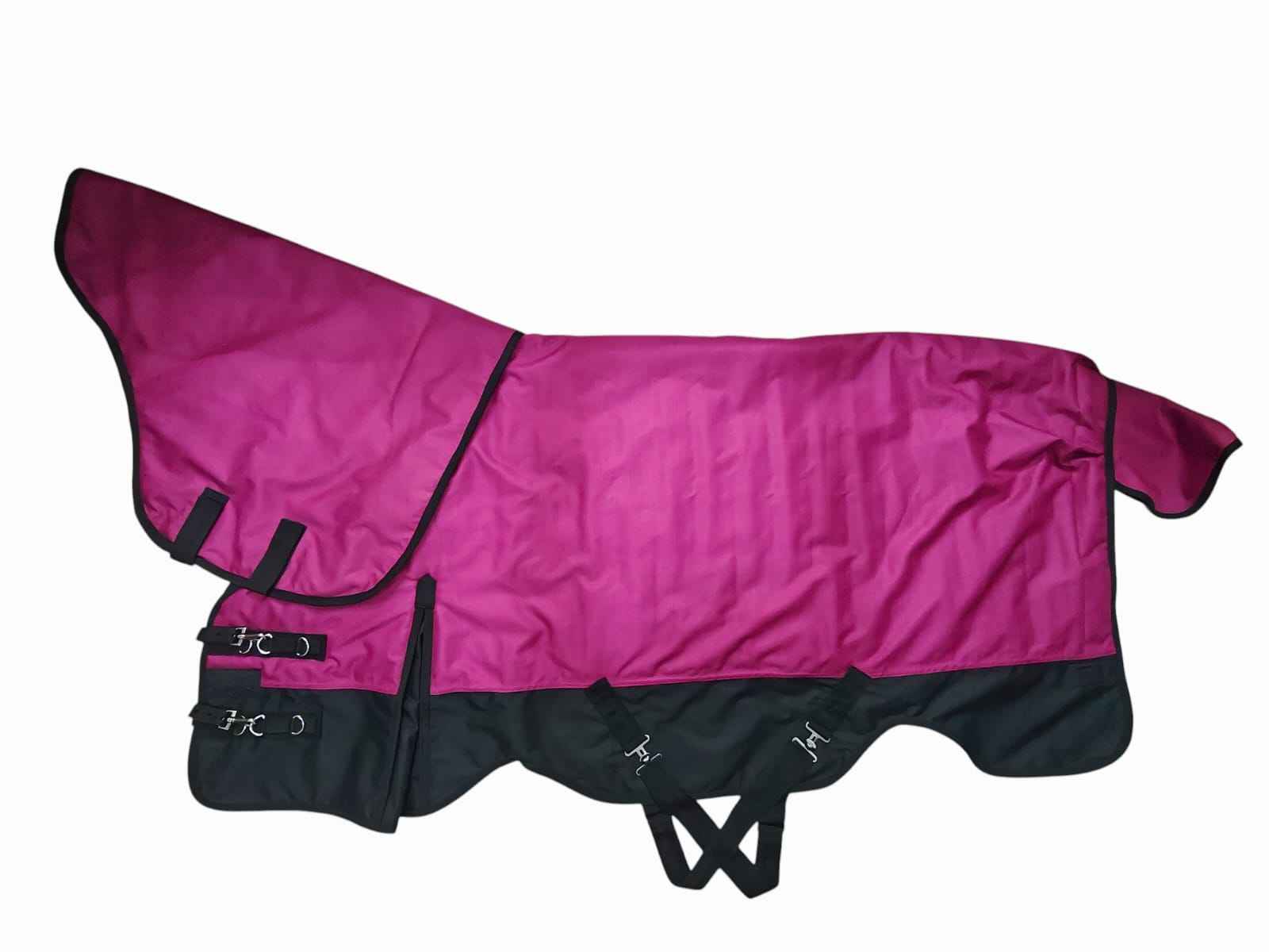 สีชมพูยอดนิยม