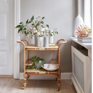 Carrito de Bar de Ratán Ecológico Hecho a Mano, Carro con Marco Abierto, Muebles al por Mayor para Restaurante, Bar, Hotel, Comprador de Grandes Cantidades - Product Image 4