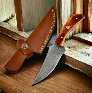 Hoja de acero de Damasco profesional cuchillo de caza multiusos mango de hueso de camello Camping senderismo supervivencia caza cuchillo de hoja fija - Product Image 1