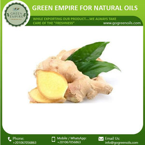 น้ำมันหอมระเหยขิงบริสุทธิ์100% สำหรับผมน้ำมันนวดป้องกันเซลลูไลท์ฉลากส่วนตัว - Product Image 3