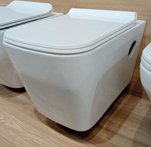 Yukon One-Piece Dual-Flush Rimless P-Trap Wall Hung Sanitaryware Inodoro Daisy White para Villas Hoteles - Product Image 1