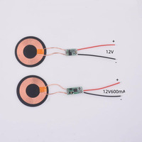 Module d'alimentation sans fil à induction Taidacent 12V, sortie 12V 800mA, courant élevé, pour aquariums de poissons et requins