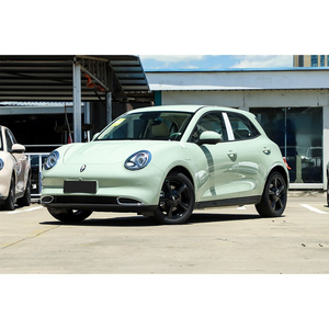 GWM Ora Good Cat 2024, SUV électrique populaire de grande taille, avec une autonomie de 501 à 600 km, batterie de 90 à 110 kWh, moteur de 100 à 150 kW, voiture à énergie nouvelle - Product Image 2