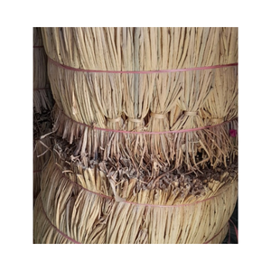 Jacinthe d'eau Artisanat artisanal Décoration et accessoires écologiques - Product Image 1