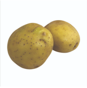 Grosses pommes de terre biologiques fraîches au goût sucré à vendre en stock avec livraison rapide Pommes de terre fraîches fiables disponibles - Product Image 2