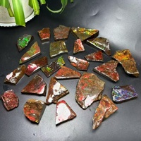 Fósil de Amonita Canadiense Real al por Mayor, Ammolita Cruda Colorida, Espécimen de Piedra Preciosa, Fósil de Vida Marina Antigua Natural de Canadá
