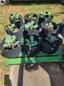 Sacs de culture en tissu robustes de 1 gallon avec poignées en ruban, pots en tissu aérés pour plantes - Product Image 5