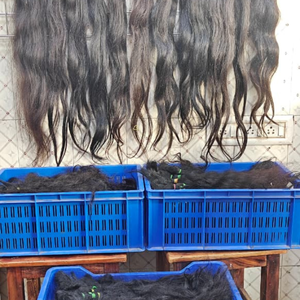 Cabello Humano Liso 100% Natural Remy Indio SV3 SV301, de Una Sola Capa, Cutícula Alineada, Doble Trama a Máquina, Venta al por Mayor Directa de Fabricante - Product Image 1