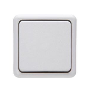 Kopp Interruptor de Salida/Cambio AP 250 V Blanco Ártico - Product Image 1
