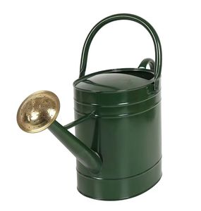 Intérieur Extérieur Jardin Fleur En Acier Inoxydable Métal Arrosage Naturel Galvanisé Boîte D'eau/Pot pour La Maison Jardin Décoration - Product Image 2